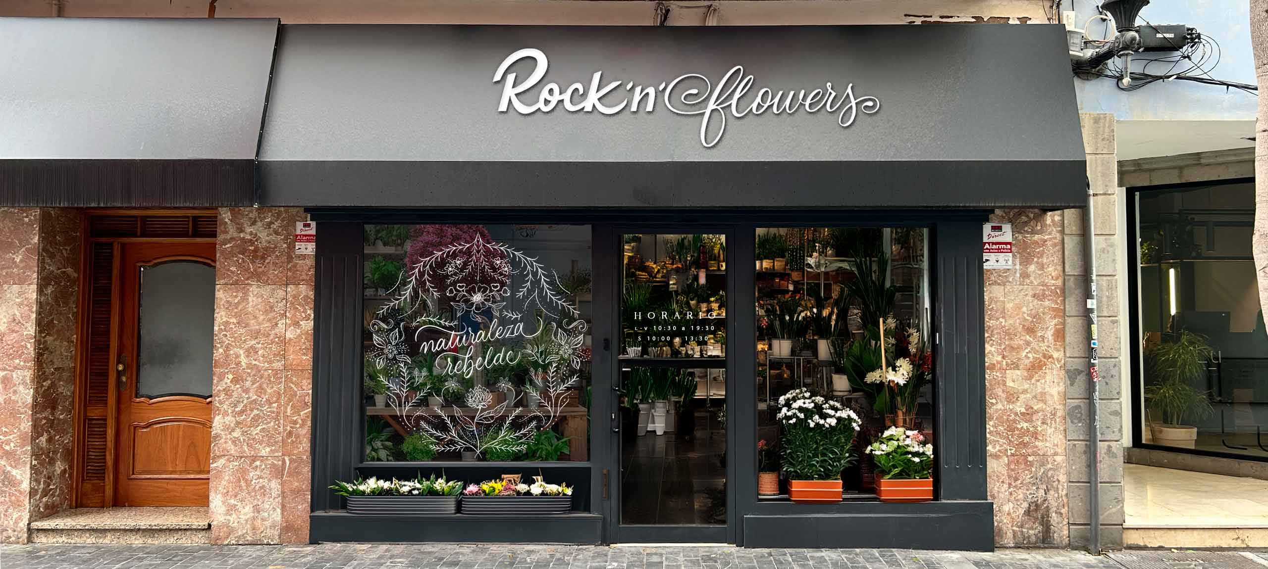 Rock n flowers diseño de fachada y cristalera con ilustración y lettering